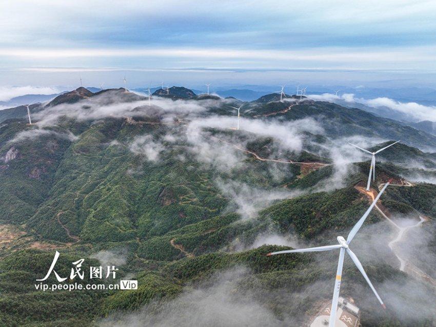 探索无穷乐趣,尽在厨师长教“凉拌紫甘蓝”的家常做法,好吃又好做,刚上桌就抢光了蜗牛问答平台!